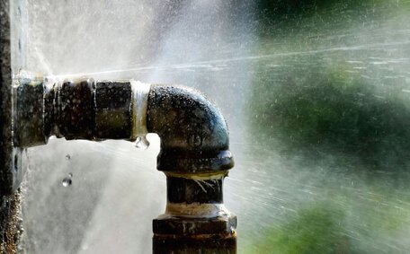 Tree Roots Damage Plumbing